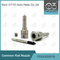 F00VX20018 Bosch Piezo Nozzle for Common Rail Injectors 0445115043/059/060