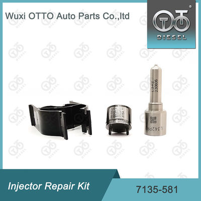 R00101D PSA FORD DW10C এর জন্য  7135-581 ইনজেক্টর মেরামত কিট