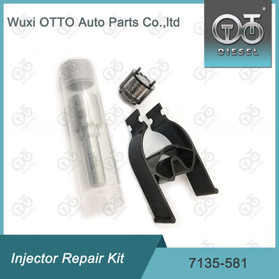 R00101D PSA FORD DW10C এর জন্য  7135-581 ইনজেক্টর মেরামত কিট