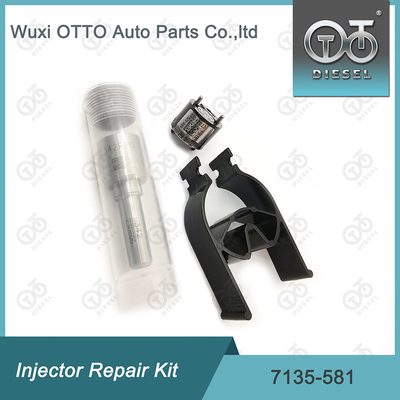 R00101D PSA FORD DW10C এর জন্য Delphi 7135-581 ইনজেক্টর মেরামত কিট