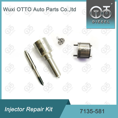 R00101D PSA FORD DW10C এর জন্য Delphi 7135-581 ইনজেক্টর মেরামত কিট