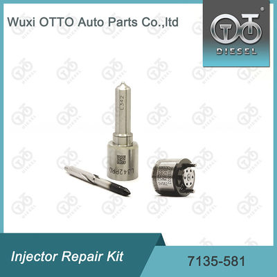R00101D PSA FORD DW10C এর জন্য  7135-581 ইনজেক্টর মেরামত কিট