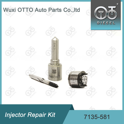 R00101D PSA FORD DW10C এর জন্য Delphi 7135-581 ইনজেক্টর মেরামত কিট