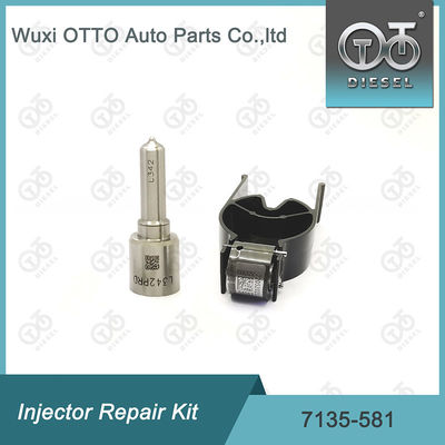 R00101D PSA FORD DW10C এর জন্য  7135-581 ইনজেক্টর মেরামত কিট