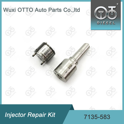 ডেল্ফি 7135-583 ইনজেক্টর মেরামতের কিট SSANGYONG D20DTF R00301D এর জন্য