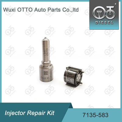 ডেল্ফি 7135-583 ইনজেক্টর মেরামতের কিট SSANGYONG D20DTF R00301D এর জন্য