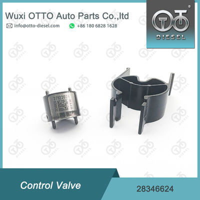 28346624 ডেলফি কমন রেল ইনজেক্টর ভালভ ইনজেক্টরের জন্য R00301D 28236381