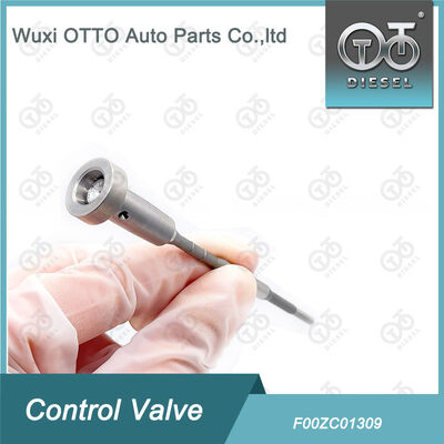 প্রিমিয়াম কোয়ালিটি F00ZC01309 কমন রেল ভালভ সেট - টেকসই ডিজেল ইঞ্জিন খুচরা যন্ত্রাংশ