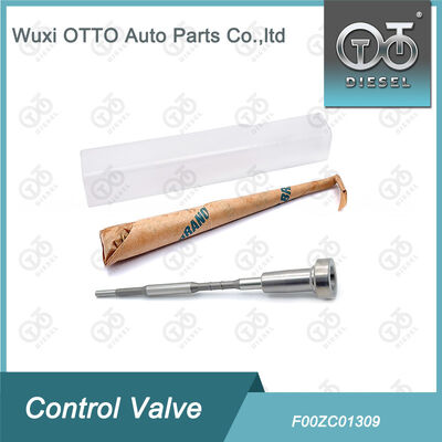 প্রিমিয়াম কোয়ালিটি F00ZC01309 কমন রেল ভালভ সেট - টেকসই ডিজেল ইঞ্জিন খুচরা যন্ত্রাংশ