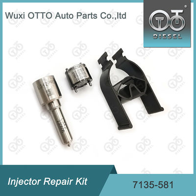 R00101D PSA FORD DW10C এর জন্য  7135-581 ইনজেক্টর মেরামত কিট